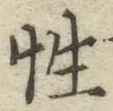 Chữ 性