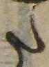 Located 𛁠