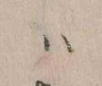 已定位𛂞