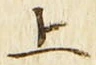 文字 上