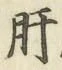Chữ 肝