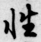 性 위치 확인됨