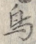 已定位鳥