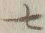 字七