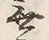 글자 無