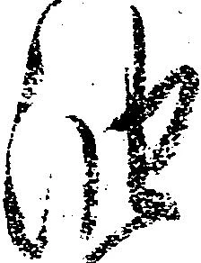 㐌定位油