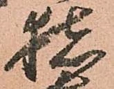 已定位猪