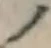 字ノ