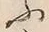 「ふ」字
