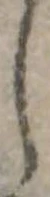 𛁅 위치 확인됨