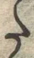 𛁠 위치 확인됨