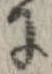 已定位𛂌