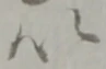 以 위치 확인됨