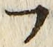 𡨸フ