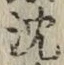 글자 沈