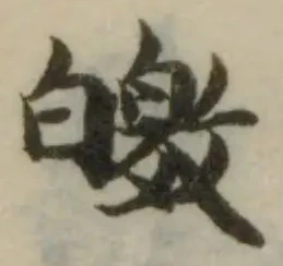 皦の位置