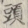 已定位頭