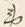 Chữ 官