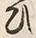 文字 ひ