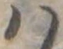 𛂞の位置