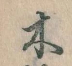 位置定マレル木