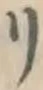 文字リ