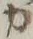 文字募