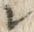 文字レ