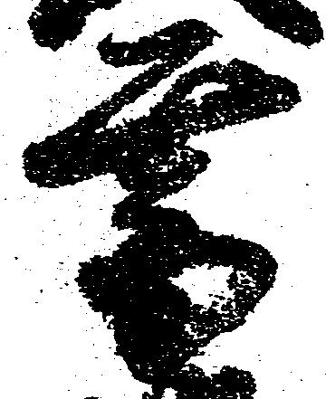 Đã định vị 菩