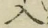 字入