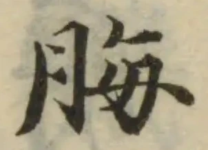 脢 위치 확인됨