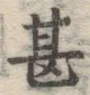 글자 甚