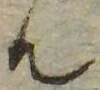 㐌定位𣗓檊