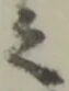 位置 確認된 之