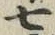 字七