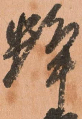 蜂 위치 확인됨
