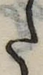 𛁠 위치 확인됨