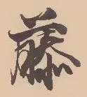 藤の位置