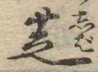 芝 위치 확인됨