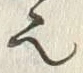𡨸也