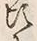 글자 頃