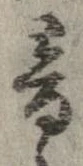 已定位音