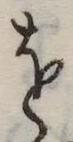 𛄜の位置