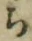 𡨸ち