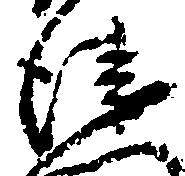已定位衛