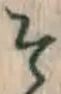글자 そ