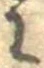 𛂌 위치 확인됨