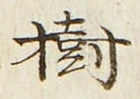 글자 樹