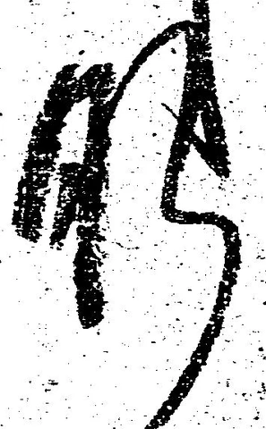 肝の位置