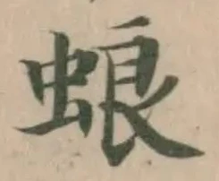 蜋 위치 확인됨